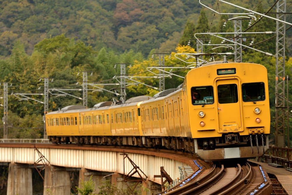 Japan rail. Japan Railway. Japan Rail Pass. Japan Railways KTR 300. Japan Railways 253 serie.