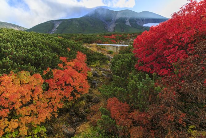 Северная япония. Норикура гора. Norikura Mountain Japan. Norikura Mountain Japan meal.